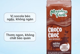 Khám Phá Hương Vị Độc Đáo: Sữa Meadow Fresh Sôcôla