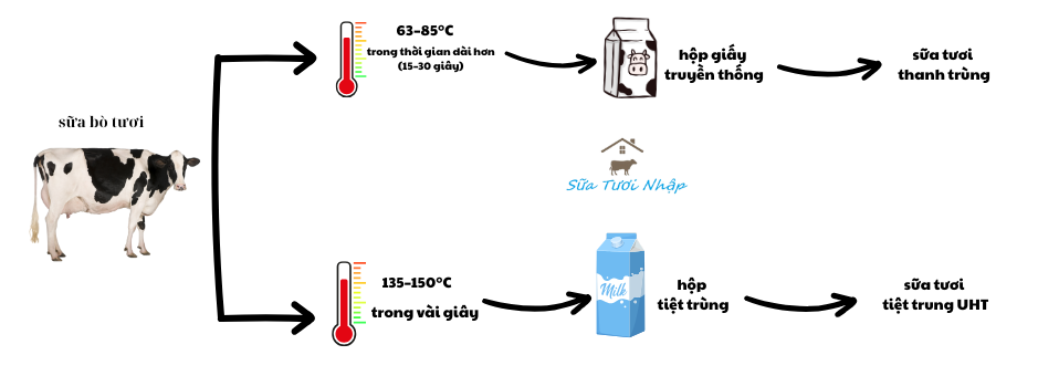 sua-thanh-trung-va-tiet-trung.png (72 KB)